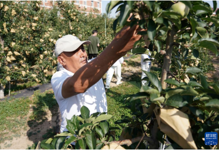 1750353737320392.png 71.png