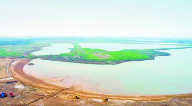 1750354439521066.png 83.png