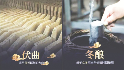 8-2 3配图。伏曲冬酿.jpg