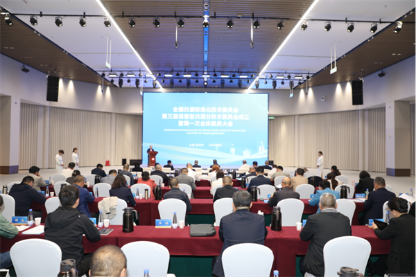 1760015331184931.png 2 1.png