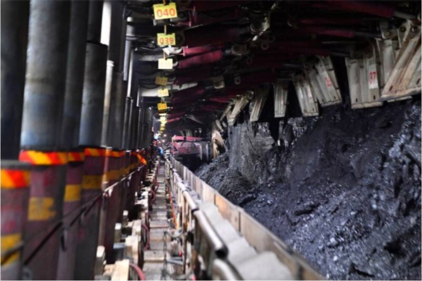 1764468334834054.jpg 图1proc.jpg