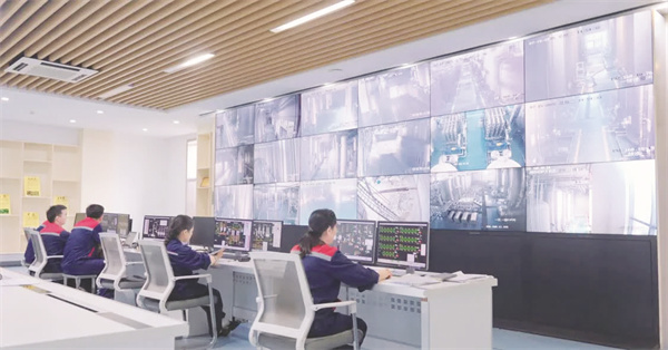 1768613989820275.jpg 1-1 1配图.jpg