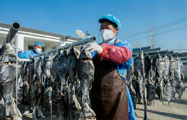 7（图片新闻）2026年1月13日，安徽省含山县安徽吴楚生物科技有限公司内，工人们正忙着晾晒封扁鱼。.jpg