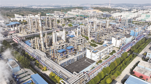 5-1 1山东能源新材料公司.jpg