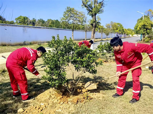 5，南昌救援基地植树活动 。.jpg