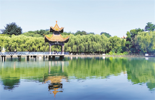 5-2 1 2 向“绿”而行.jpg