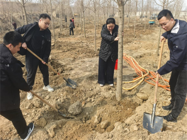 5 合同稿 图片新闻 河北隆尧县烟草专卖局开展义务植树活动.png