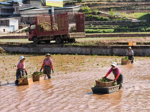 1776251401297738.png blob.png